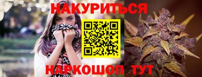 трава Кингисепп