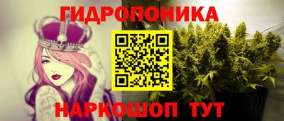 трава Кингисепп