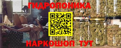 трава Кингисепп